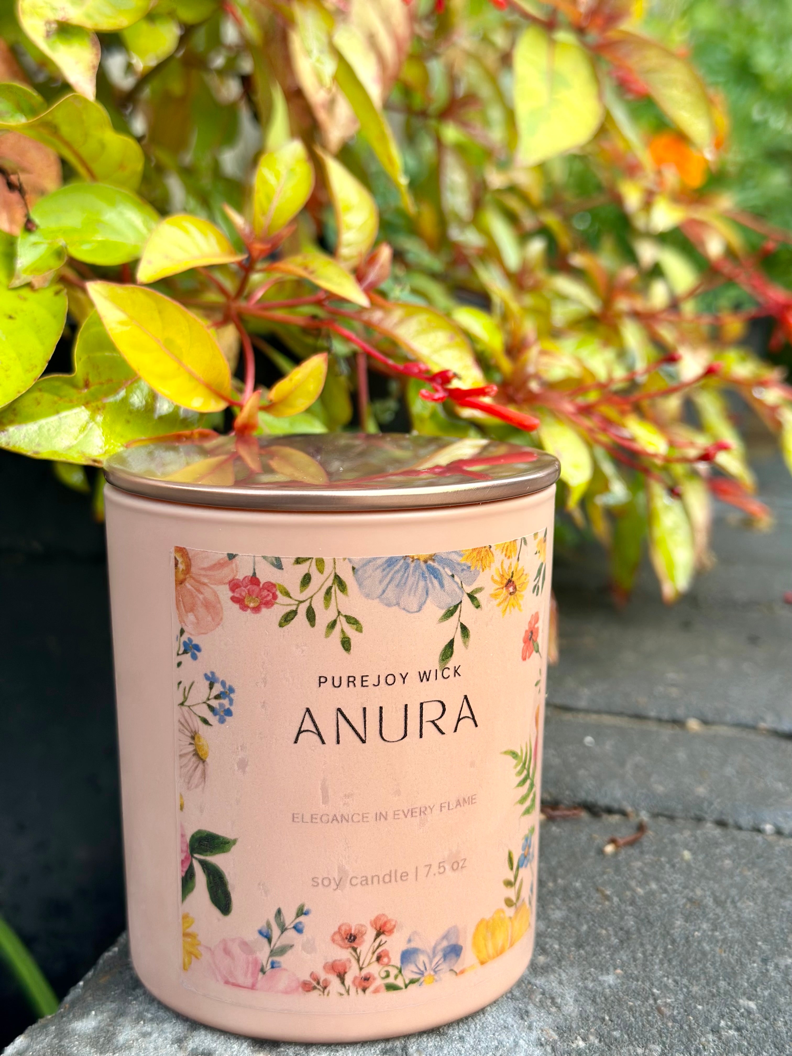 Anura